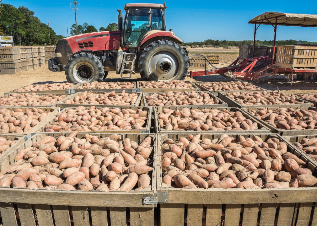 #5. Potatoes